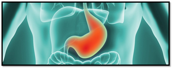stomoch Cancer